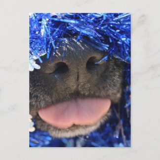 Black Dog Nose with Blue Tinsel Tongue Out Postcard
