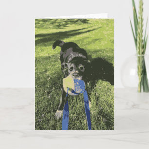 Black Dog Playing Tug Of War Husky Lab Puppy Card