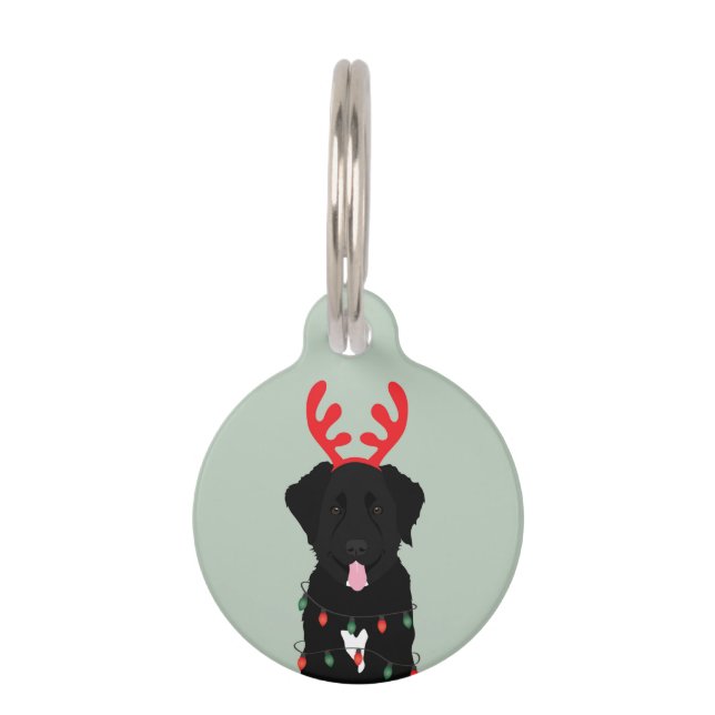Black Dog Reindeer Christmas Lights Pet Tag (Front)
