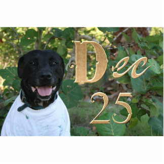 Black dog white shirt Dec 25th design Standing Photo Sculpture