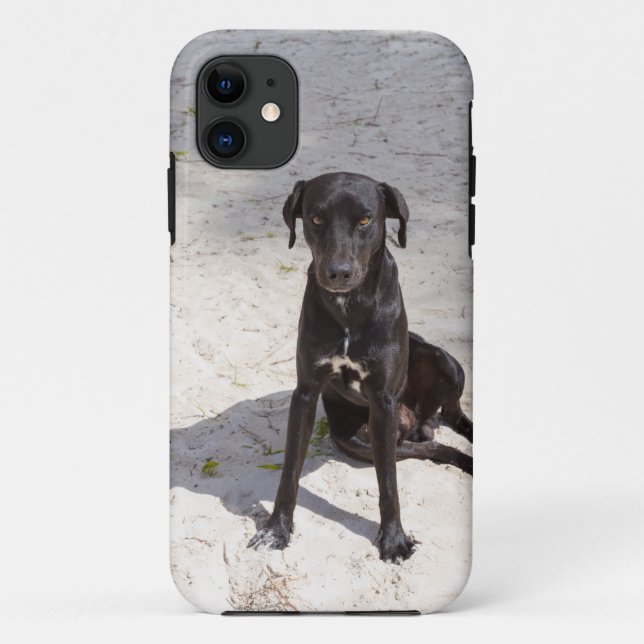 Black dog with an evil eye Case-Mate iPhone case (Back)