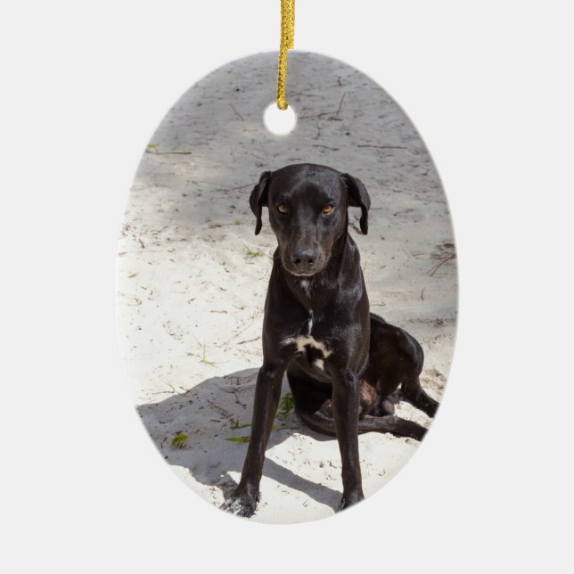 Black dog with an evil eye ceramic tree decoration (Front)