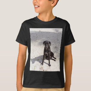 Black dog with an evil eye T-Shirt