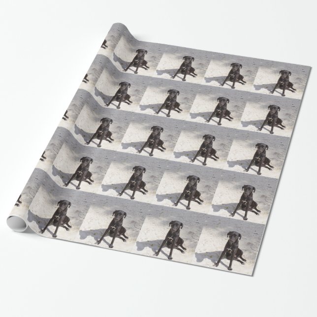Black dog with an evil eye wrapping paper (Unrolled)