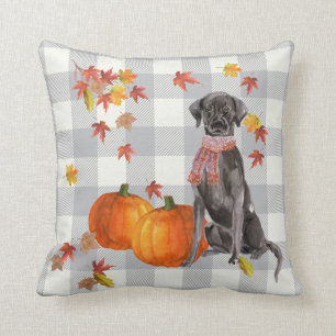 Black Dog with Pumpkins Falling Leaves Gray Check Cushion