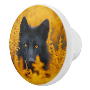 Black Dog with Stunning Gold Eyes Ceramic Knob