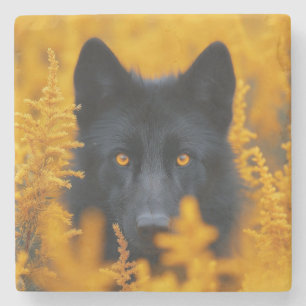 Black Dog with Stunning Gold Eyes Stone Coaster
