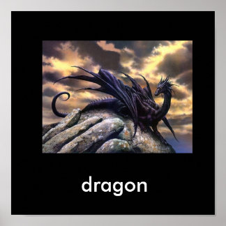 black dragon poster