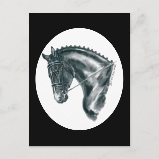 Black Dressage Horse Portrait Postcard (Front)