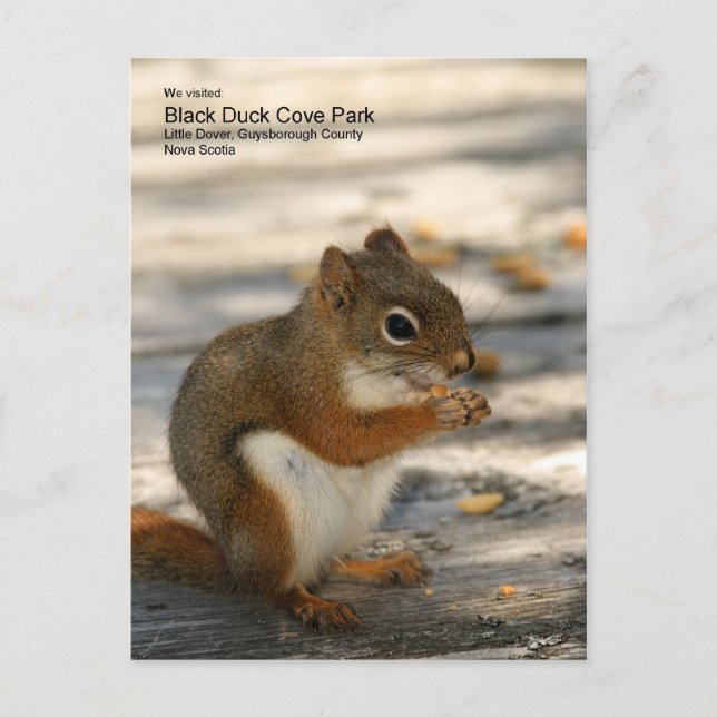 Black Duck Cove Park Postcard (Front)