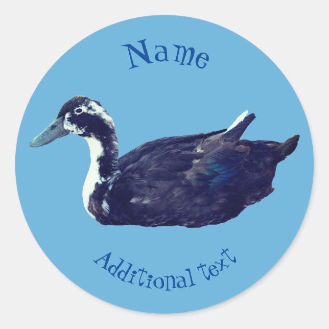 Black Duck Farm Animal Personalised Classic Round Sticker (Front)