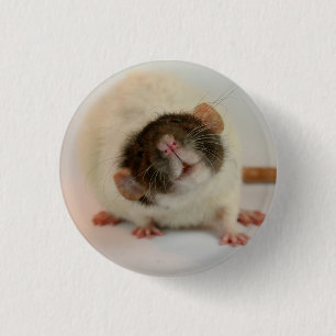 Black dumbo rex Rat 3 Cm Round Badge