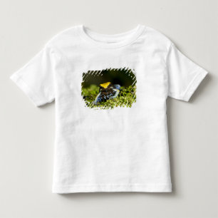 Black-eared Mantella, Mantella expectata, 2 Toddler T-Shirt