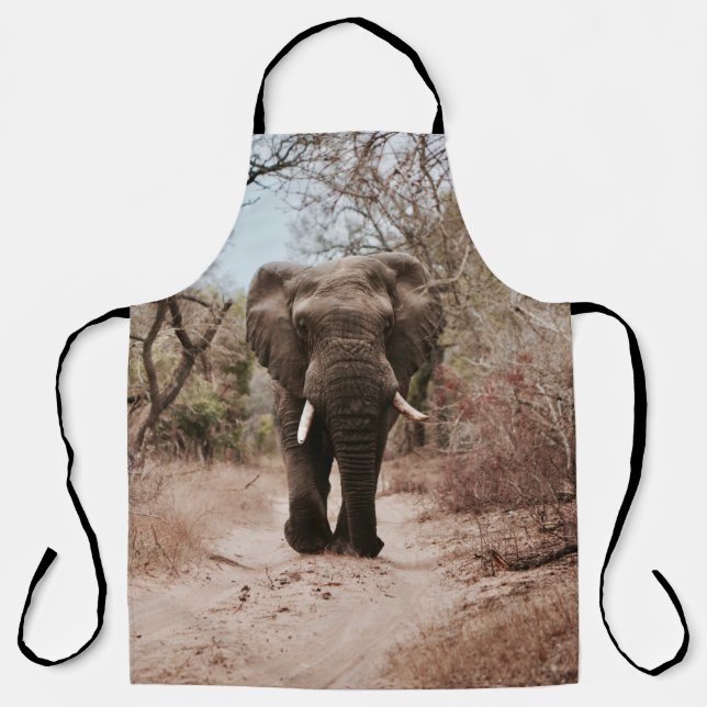 BLACK ELEPHANT WALKING ON BROWN SAND APRON (Front)