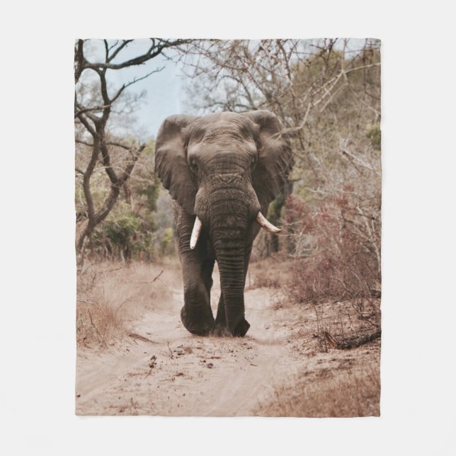 BLACK ELEPHANT WALKING ON BROWN SAND FLEECE BLANKET (Front)