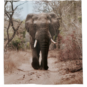 BLACK ELEPHANT WALKING ON BROWN SAND SHOWER CURTAIN