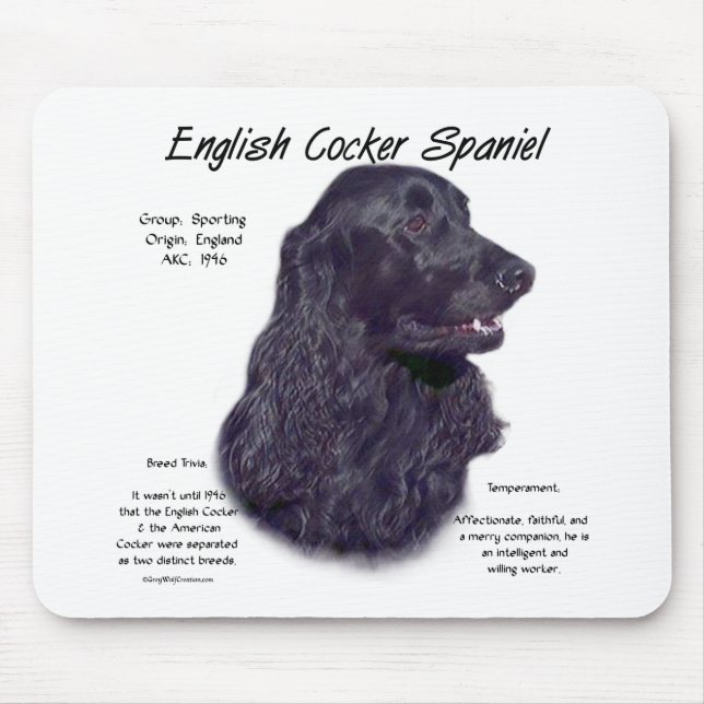 Black English Cocker Spaniel History  Mouse Mat (Front)
