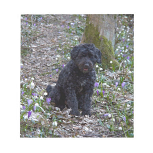 Black English Springer Spaniel Notepad