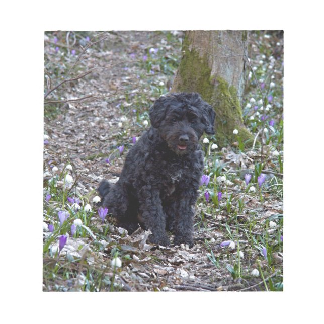 Black English Springer Spaniel Notepad (Front)