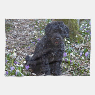 Black English Springer Spaniel Tea Towel
