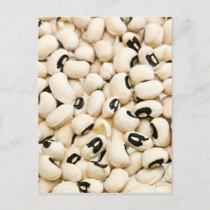 Black Eyed Peas Postcard