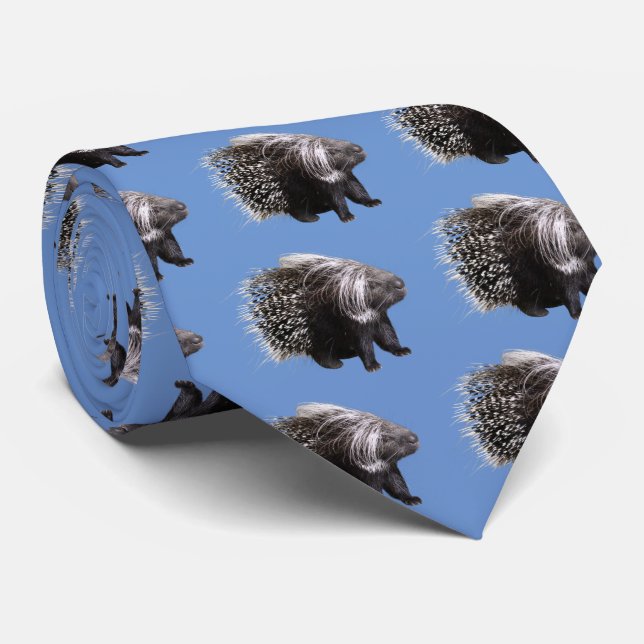 Black-eyed porcupine tie (Rolled)