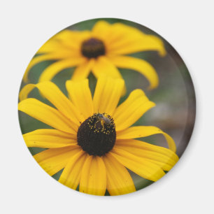 Black-Eyed Susan and Bee Magnet