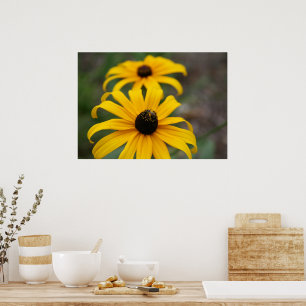Black-Eyed Susan and Bee Poster