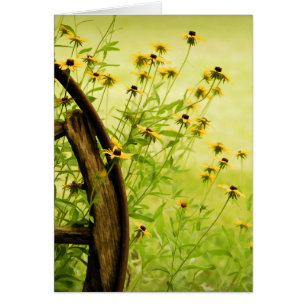 Black-Eyed Susan and Wagon Wheel Photo