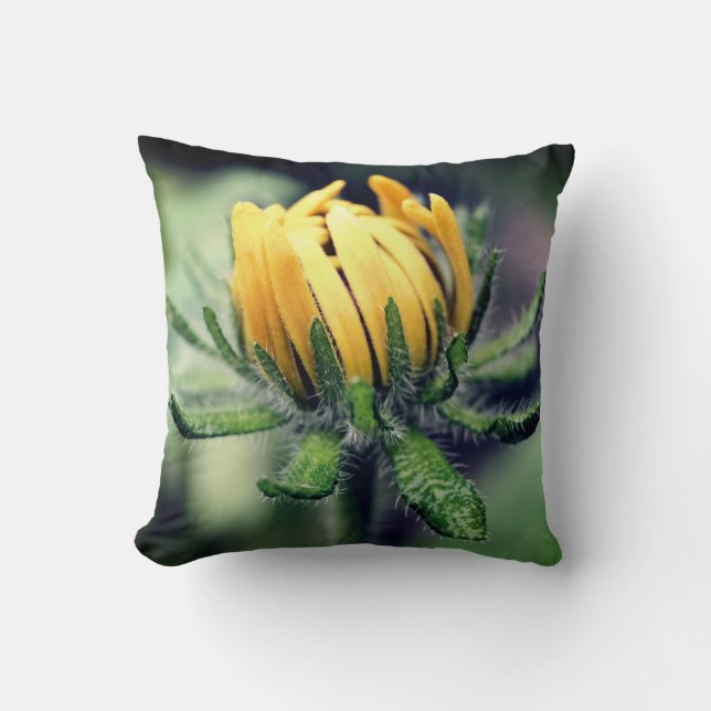 Black Eyed Susan Awakening   Cushion (Front)