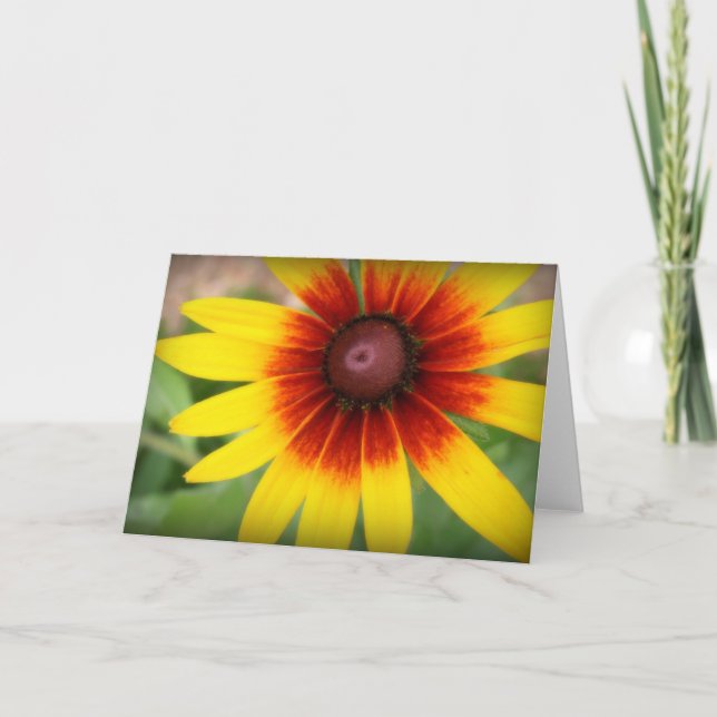 Black Eyed Susan - Blank Inside Card (Front)
