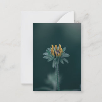 Black Eyed Susan Blossom Card