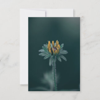 Black Eyed Susan Blossom Thank You Card