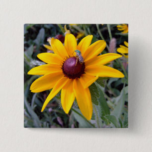 Black-Eyed Susan Button