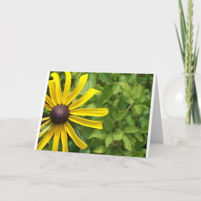 Black-eyed Susan Card (Front)