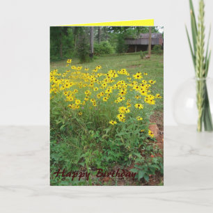 Black-Eyed Susan Card