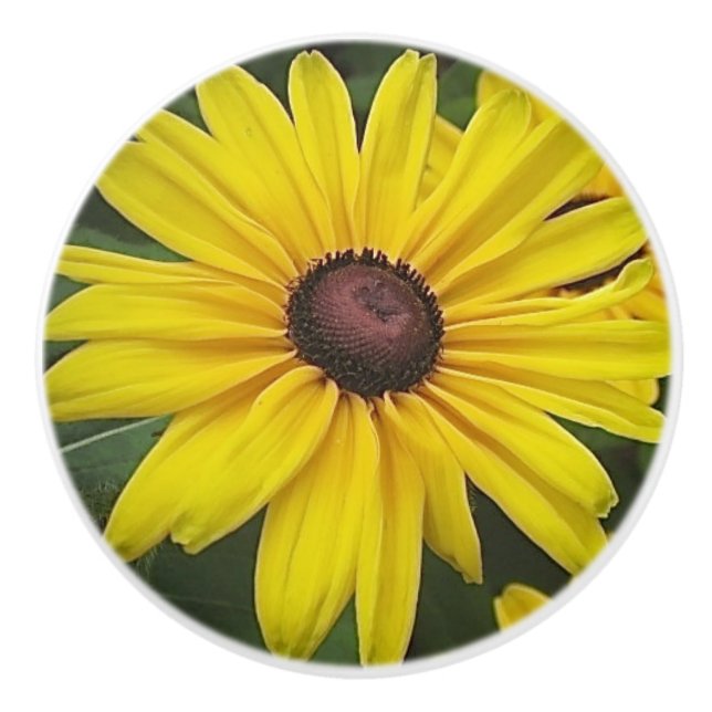 Black-eyed Susan Ceramic Knob (Front)