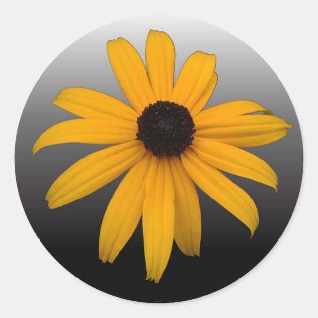 Black Eyed Susan Classic Round Sticker (Front)