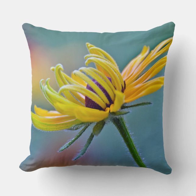 Black-eyed Susan Cushion (Front)