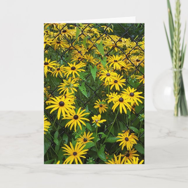 Black-eyed Susan daisies Card (Front)