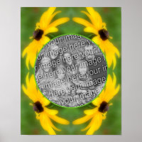 Black Eyed Susan Daisy Create Your Own Photo