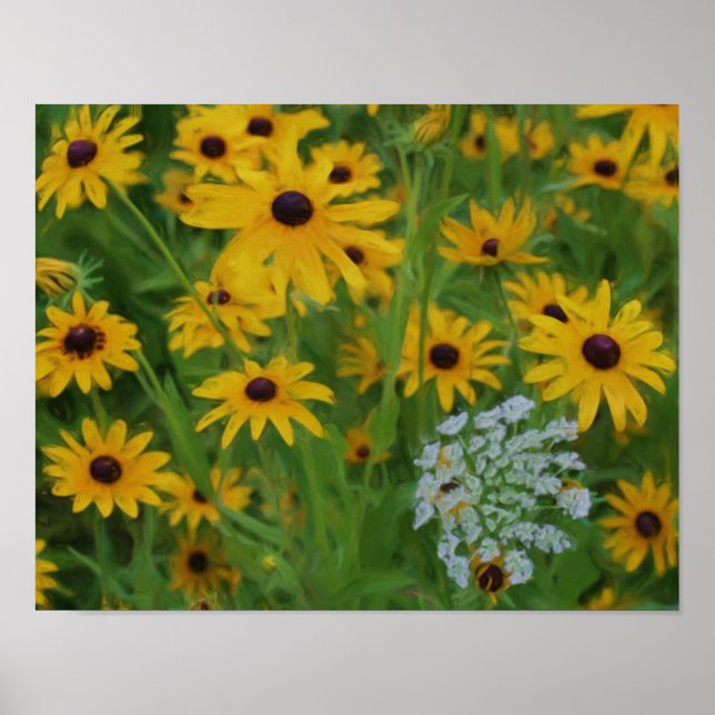 Black Eyed Susan Daisy Flower Photo Painting Poster (Front)