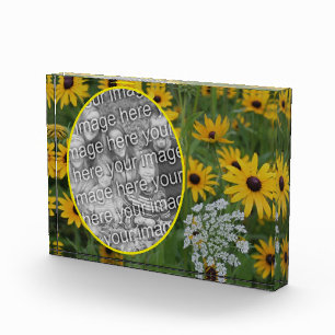 Black Eyed Susan Field Add Your Own Photo Block