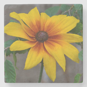 Black-eyed-Susan Floral Stone Coaster