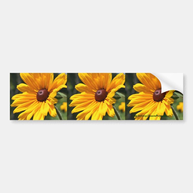Black Eyed Susan Flower Bumper Sticker Car Art (Front)