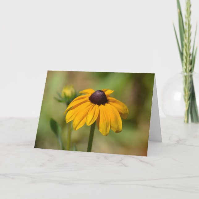 Black Eyed Susan Flower Card (Front)