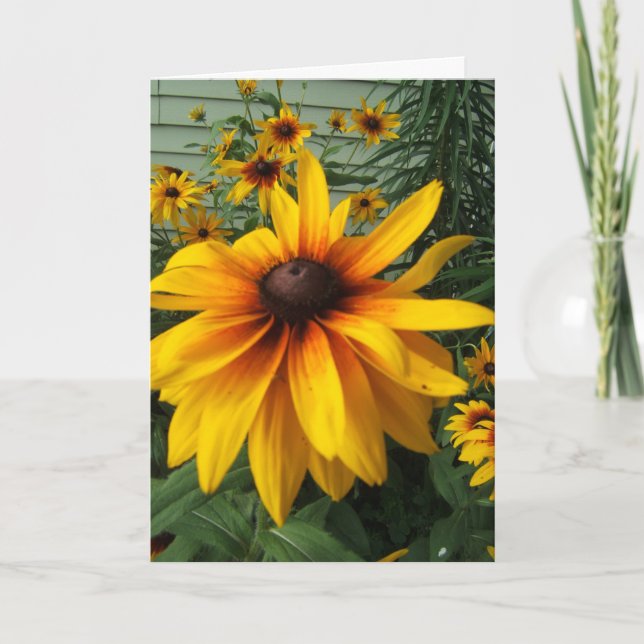 Black-Eyed Susan Flower Garden Card (Front)