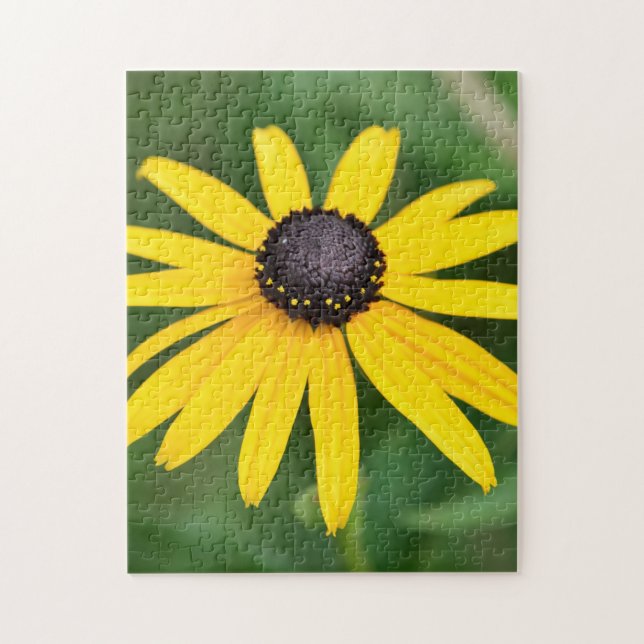 Black Eyed Susan - Flower Puzzle (Vertical)