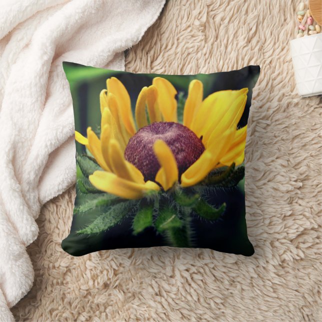 Black Eyed Susan Flower Unfolding  Cushion (Blanket)