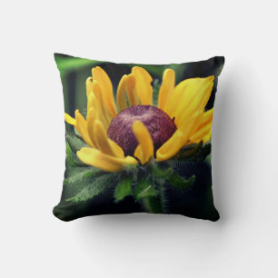 Black Eyed Susan Flower Unfolding  Cushion